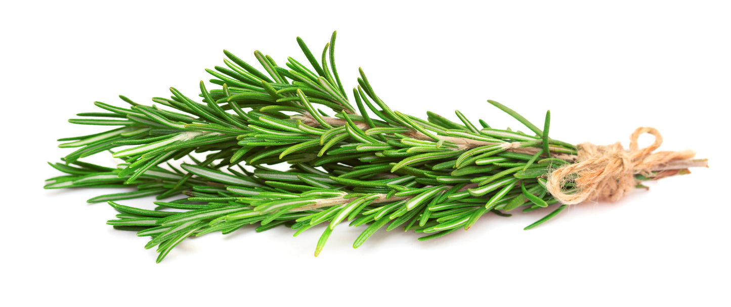 Rosemary