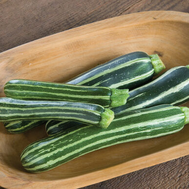 Safari Zucchini