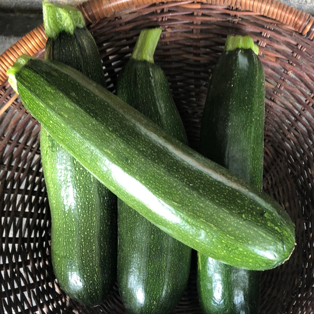 Green Zucchini