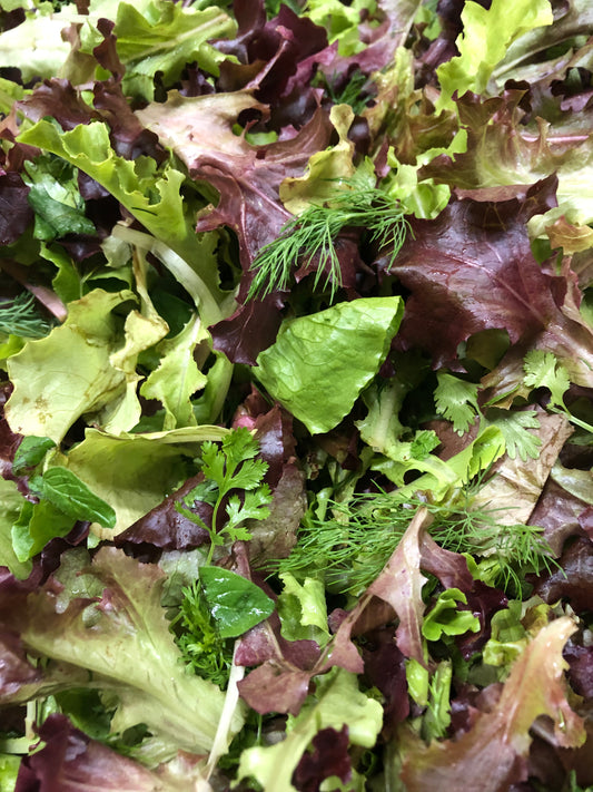 Herb lettuce mix