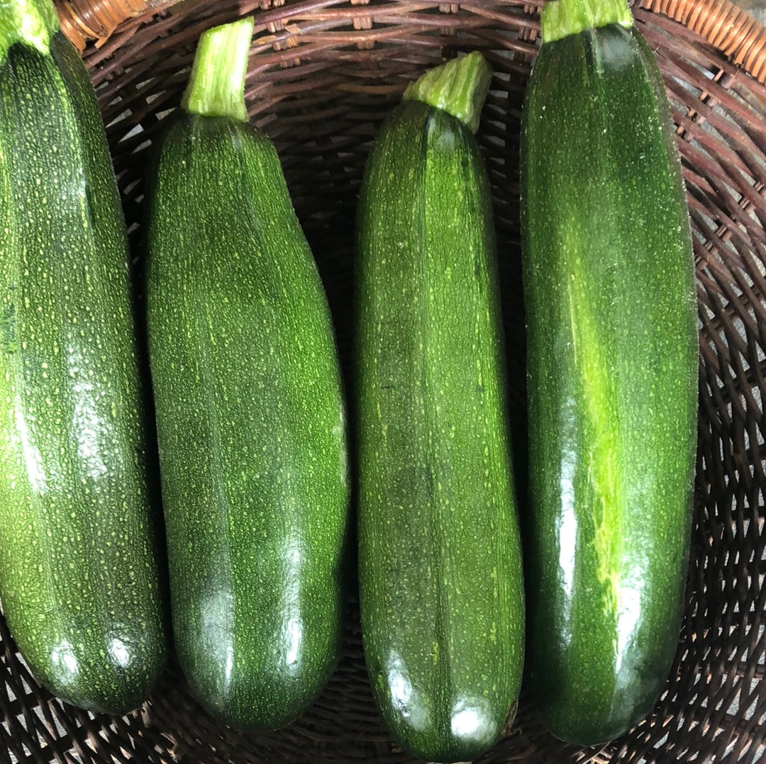 Green Zucchini