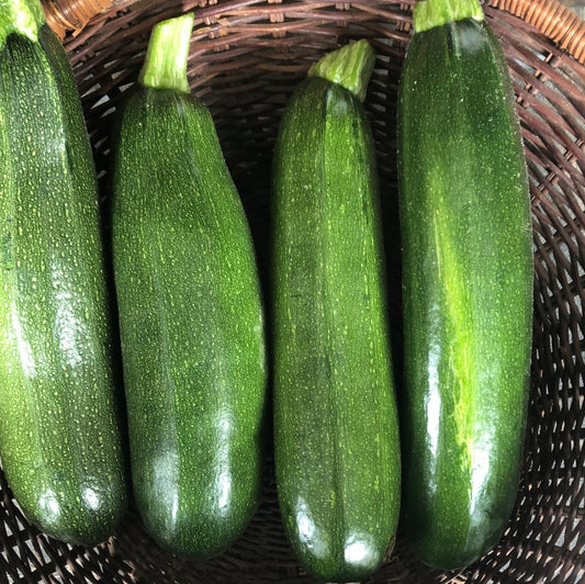 Green Zucchini