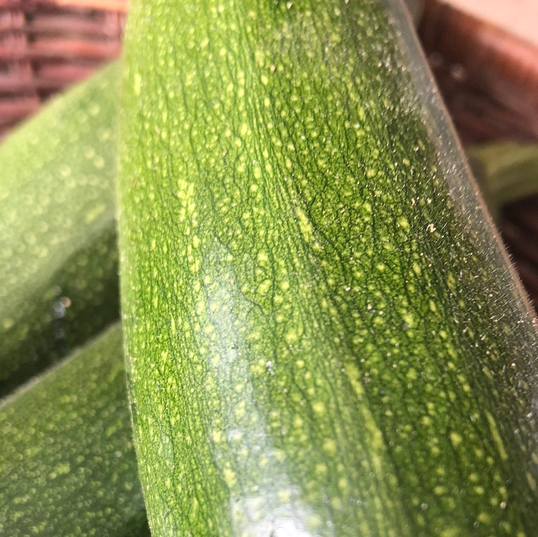 Green Zucchini