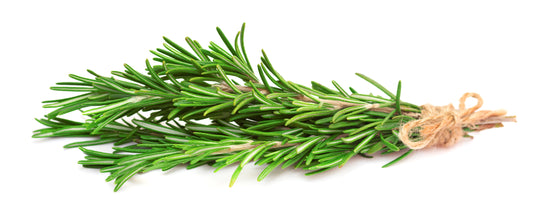 Rosemary